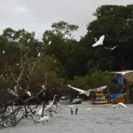 Amazônia Soberana: programa reforça combate ao crime organizado em áreas de fronteira