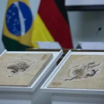 Brasil quer repatriar fósseis de dinossauros e patrimônios no exterior
