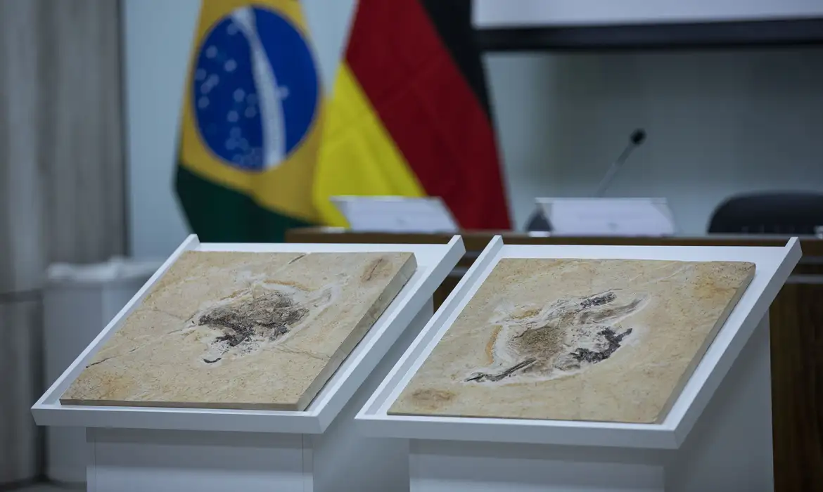 Brasil quer repatriar fósseis de dinossauros e patrimônios no exterior