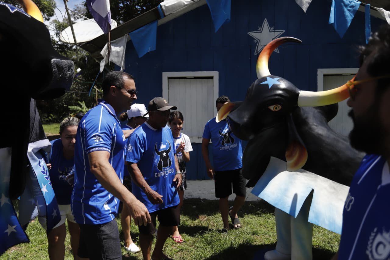Boi Caprichoso marca Parananema como território azulado em Parintins