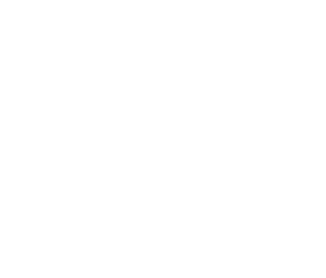 Portal Voz da Amazônia