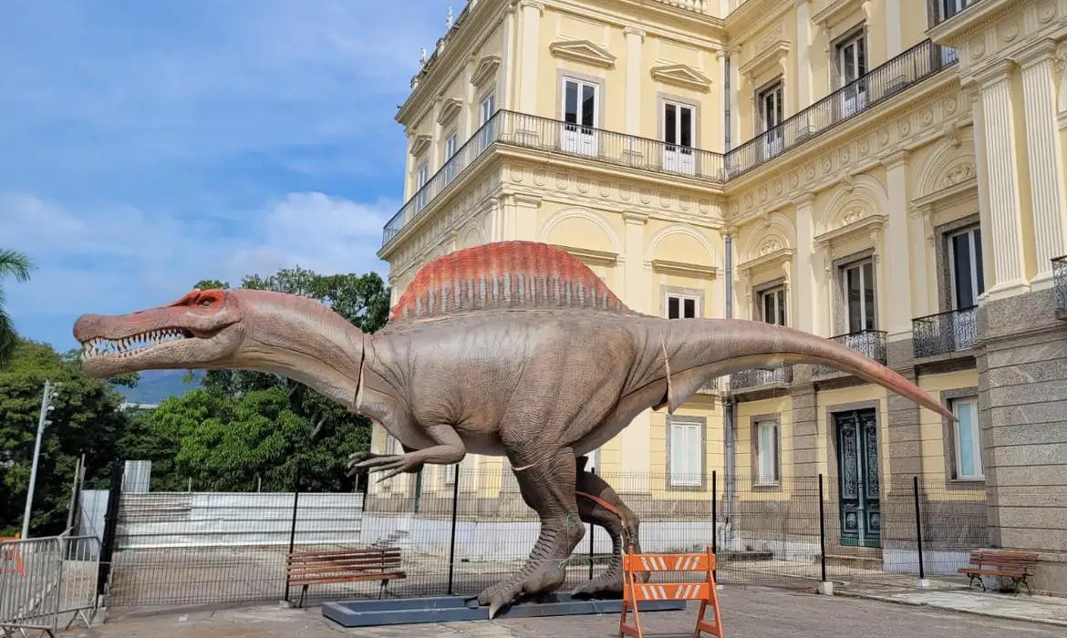 O símbolo da reconstrução do Museu Nacional