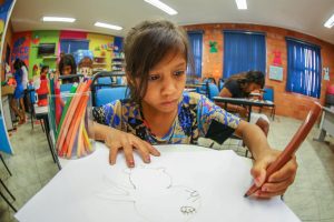 Educação ambiental cresce no estado