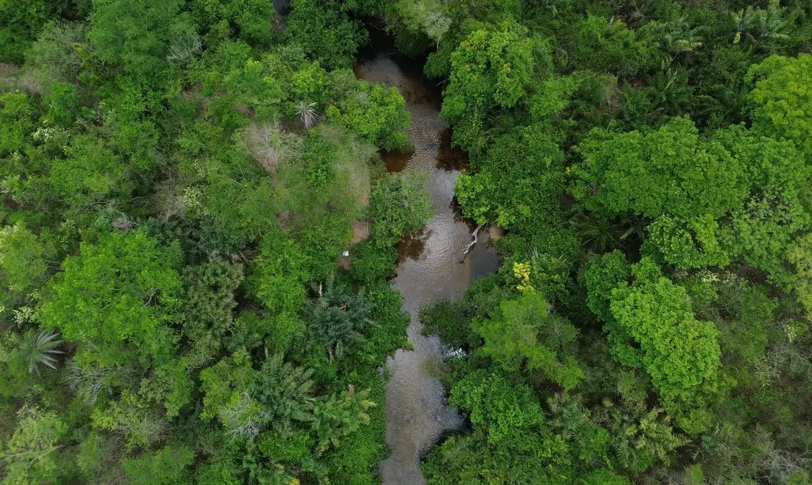 Queimadas caem no Brasil, mas Amazônia e Cerrado exigem atenção