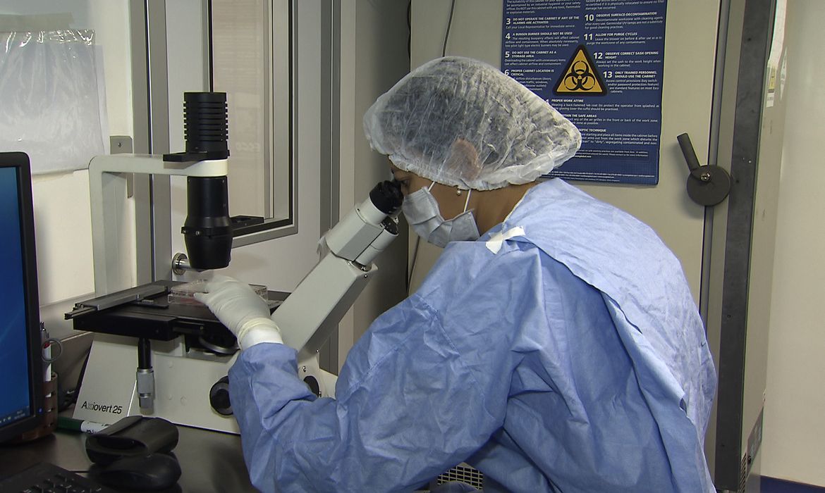 HIV: ciência acompanha 13 casos de remissão após transplante