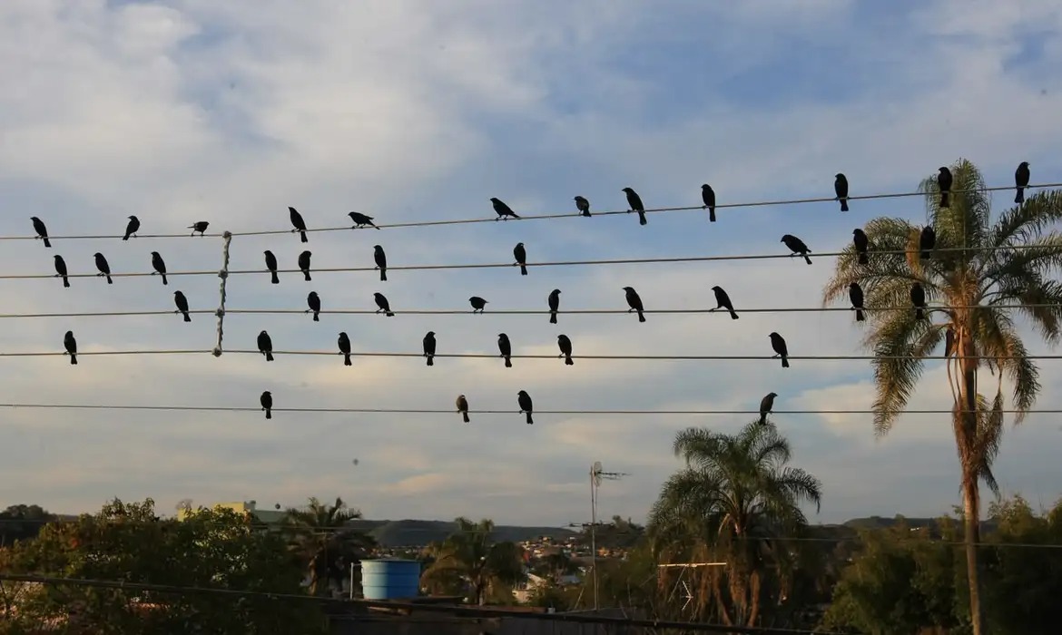 Imagem de São Paulo inspira prêmio em Cannes