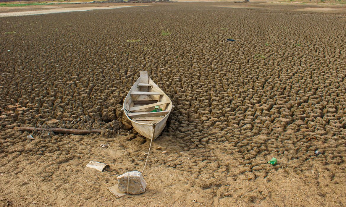 COP17: Brasil apresenta metas para recuperar terras