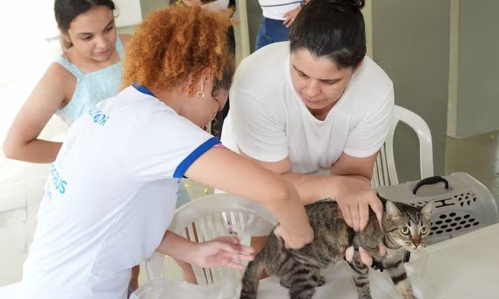 PSS da Semsa tem 295 vagas para campanha antirrábica
