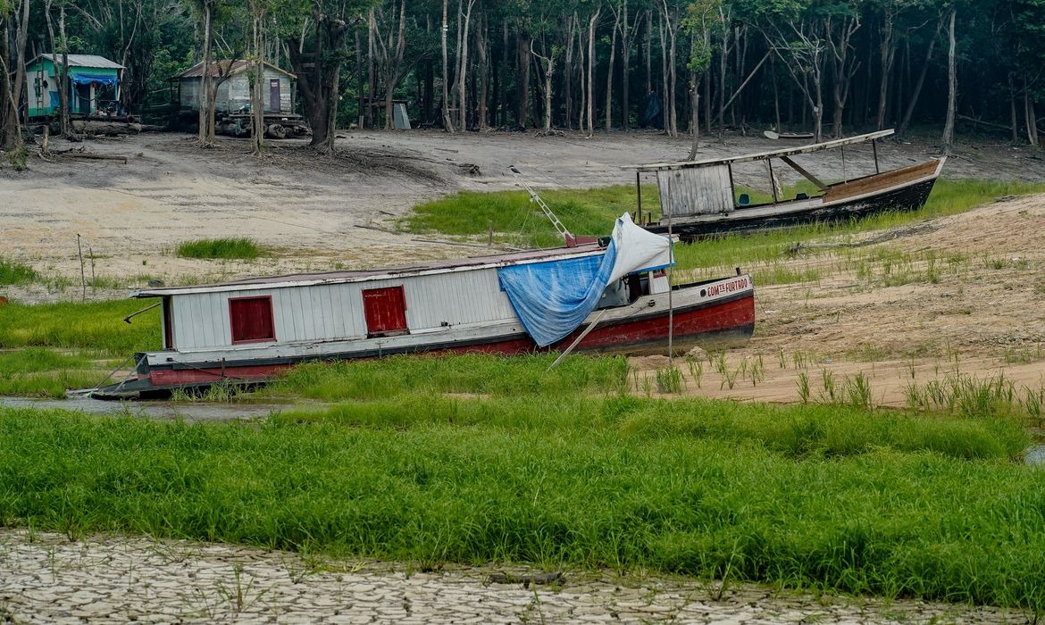 COP17 reúne países pela recuperação de ecossistemas