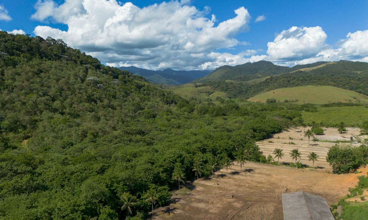 Mata Atlântica perde 9,7 milhões de hectares de vegetação madura